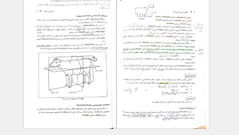 دانلود پی دی اف کتاب آناتومی عمومی دامپزشکی حسن گیلانپور PDF