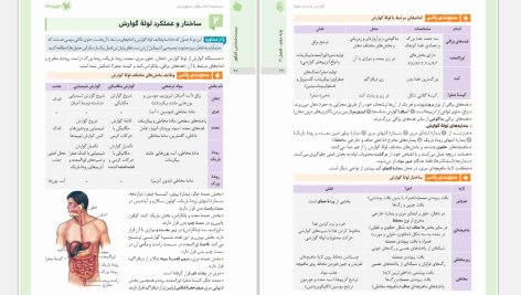 دانلود پی دی اف کتاب جمع بندی زیست شناسی مهروماه PDF