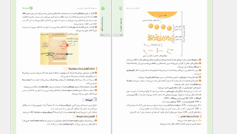 دانلود پی دی اف کتاب جمع بندی زیست شناسی مهروماه PDF