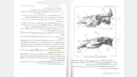 دانلود پی دی اف کتاب آناتومی عمومی دامپزشکی حسن گیلانپور PDF