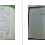 دانلود پی دی اف کتاب اصول ژنتیک پزشکی امری لیلا یوسفیان PDF