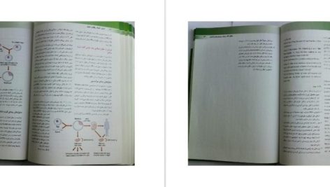 دانلود پی دی اف کتاب اصول ژنتیک پزشکی امری لیلا یوسفیان PDF