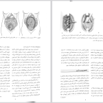 دانلود پی دی اف کتاب بارداری و زایمان ویلیامز ۳ مهرناز ولدان PDF