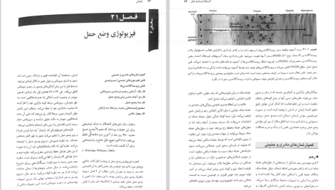 دانلود پی دی اف کتاب بارداری و زایمان ویلیامز جلد ۲ مهرناز ولدان PDF