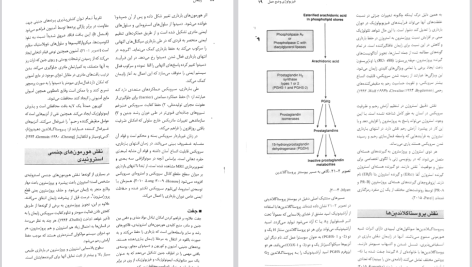 دانلود پی دی اف کتاب بارداری و زایمان ویلیامز جلد ۲ مهرناز ولدان PDF