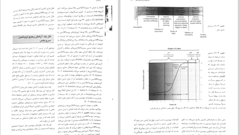 دانلود پی دی اف کتاب بارداری و زایمان ویلیامز جلد ۲ مهرناز ولدان PDF