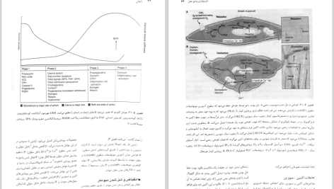 دانلود پی دی اف کتاب بارداری و زایمان ویلیامز جلد ۲ مهرناز ولدان PDF