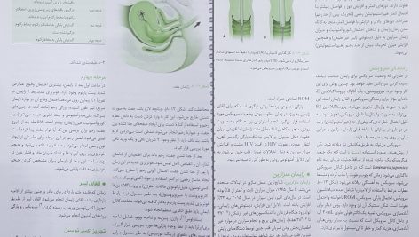 دانلود پی دی اف کتاب بیماری های زنان و زایمان بهارک منصوری PDF