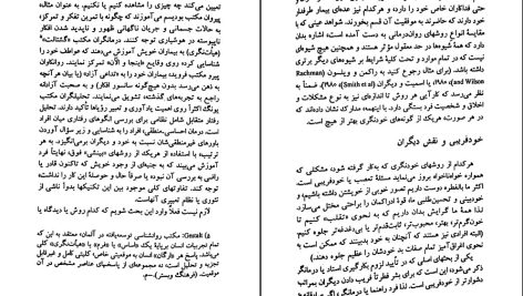 دانلود پی دی اف کتاب خود شناسی با روش یونگ مایکل دانیلز PDF