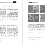 دانلود پی دی اف کتاب زیست شناسی سلولی و مولکولی جلد ۱ جواد محمد نژاد PDF