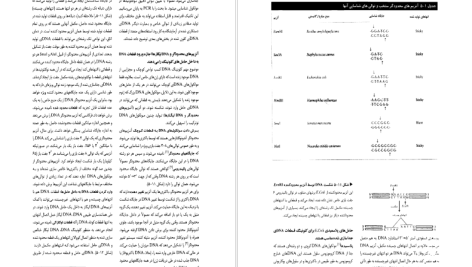 دانلود پی دی اف کتاب زیست شناسی سلولی و مولکولی جلد ۱ جواد محمد نژاد PDF