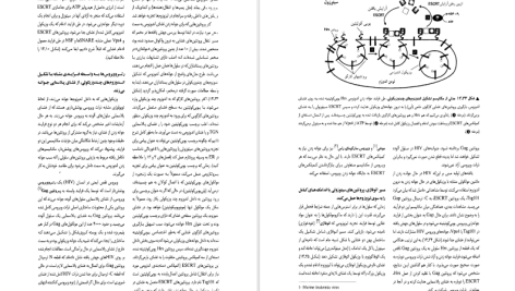 دانلود پی دی اف کتاب زیست شناسی سلولی و مولکولی جلد ۱ جواد محمد نژاد PDF