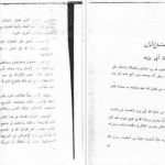 دانلود پی دی اف کتاب سلطان العارفین ابویزید البسطامی PDF