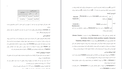 دانلود پی دی اف کتاب میکروبیولوژی مواد غذایی ایفان ژانگ PDF