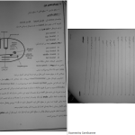 دانلود پی دی اف کتاب نوروآناتومی علوم پایه فرزانه رحمانی PDF