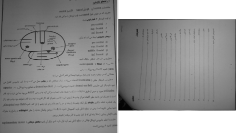 دانلود پی دی اف کتاب نوروآناتومی علوم پایه فرزانه رحمانی PDF