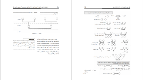 دانلود پی دی اف کتاب پرستاری بهداشت جامعه ۲ وحیده حسینی PDF