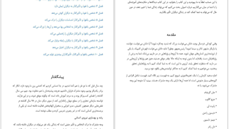 دانلود پی دی اف کتاب چگونه نفوذ کنیم جان سی. مکسول و جیم دورنان PDF