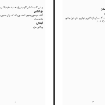 دانلود پی دی اف کتاب آنومالی اروه لوته لیه PDF