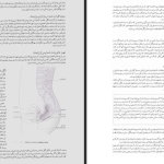 دانلود پی دی اف کتاب زایمان و فراتر از آن جلد دوم مرتضی مدنی نژاد PDF