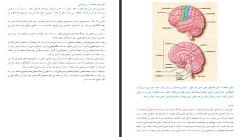 دانلود پی دی اف کتاب حقایق مغز عباس حق پرست PDF