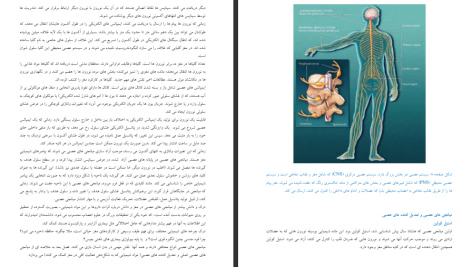 دانلود پی دی اف کتاب حقایق مغز عباس حق پرست PDF