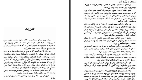 دانلود پی دی اف کتاب مردی با کبوتر رومن گاری PDF