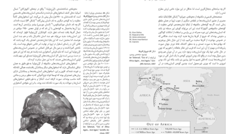 دانلود پی دی اف کتاب انسان از آغاز تا ۴۰۰۰ سال پیش از میلاد اَیان تترسال عزت الله نگهبان PDF