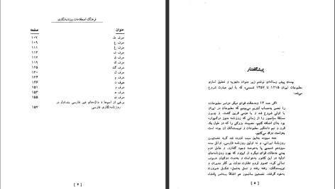 دانلود پی دی اف کتاب فرهنگ اصطلاحات روزنامه نگاری فارسی مسعود برزین PDF