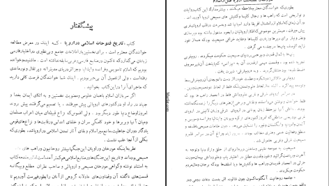 دانلود پی دی اف کتاب تاریخ فتوحات اسلامی در اروپا علی دوانی PDF