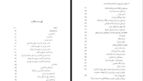 دانلود پی دی اف کتاب حضرت علی (ع) در نغمه‌های عامیانه ایران بهروز وجدانی PDF