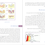 دانلود پی دی اف کتاب جامع پی آر پی و ترمیم زخم محمد حسین ارژنگیان PDF