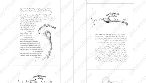 دانلود پی دی اف کتاب زمانه‌ی جادو ۲ کرسیدا کاوئل PDF