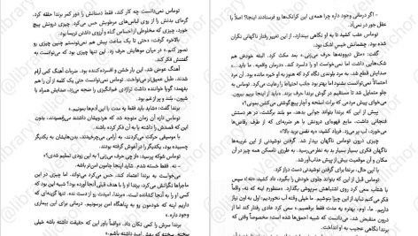 دانلود پی دی اف کتاب دونده هزار تو جلد دوم جیمز دشنر PDF