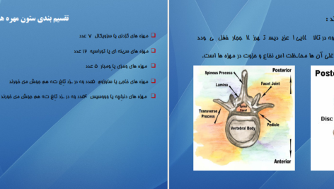 دانلود پی دی اف کتاب اناتومی استخوان شناسی مرتضی بهرامی نژاد PDF