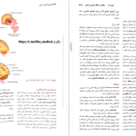 دانلود پی دی اف کتاب نورو آناتومی بالینی اسنل راین اسپلیت گربر PDF