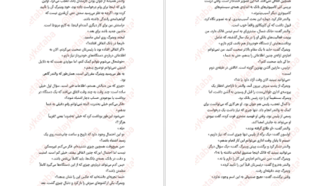 دانلود پی دی اف کتاب دیوار آتش هنینگ مانکل PDF