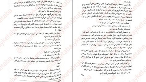 دانلود پی دی اف کتاب بخش دی فریدا مک فادن PDF