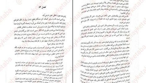 دانلود پی دی اف کتاب بخش دی فریدا مک فادن PDF