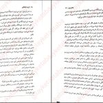 دانلود پی دی اف کتاب بخش دی فریدا مک فادن PDF