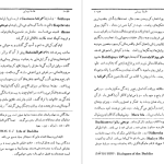 دانلود پی دی اف کتاب تاریخ ادیان جلد ۳ هاشم رضی PDF