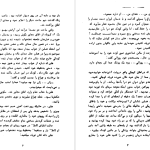 دانلود پی دی اف کتاب در تلاطم زندگی امیل زولا PDF