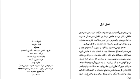 دانلود پی دی اف کتاب دو منظره غزاله علیزاده PDF