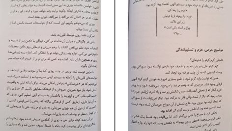 دانلود پی دی اف کتاب راه به قدم های تو روشن میشود ۲۱ قاعده مولانا هاکان منگوچ PDF