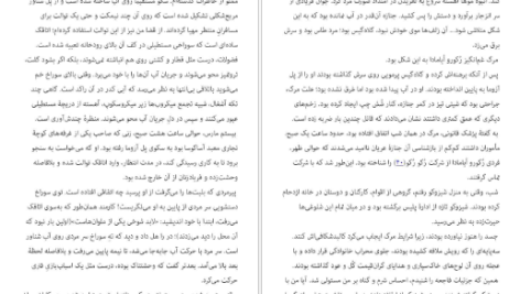 دانلود پی دی اف کتاب شکار و تاریکی ادوگاوا رانپو PDF