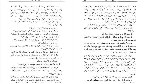 دانلود پی دی اف کتاب غریبه در شهر غلامحسین ساعدی PDF