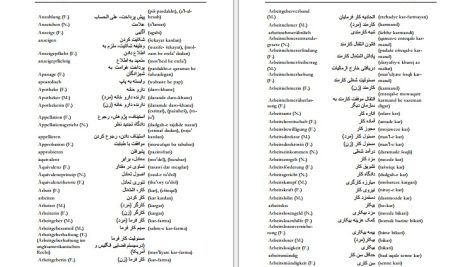 دانلود پی دی اف کتاب فرهنگ آلمانی فارسی فیروز ابراهیم نسبت PDF