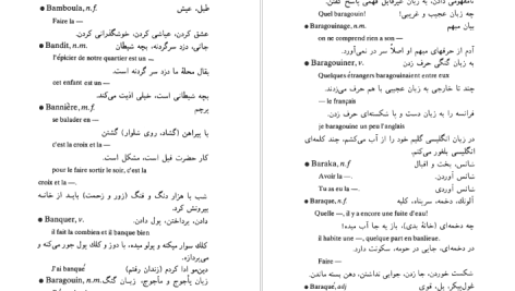 دانلود پی دی اف کتاب فرهنگ زبان کوچه محمد تقی غیاثی PDF