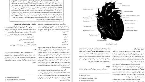 دانلود پی دی اف کتاب فیریولوژی فعالیت بدنی و ورزش دکتر حجت اله نیکبخت PDF