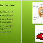 دانلود پی دی اف کتاب مروری جامع بر میکروبیولوژی عمومی حسین رحیمی ‍PDF